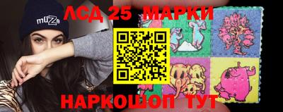 МДПВ Гатчина