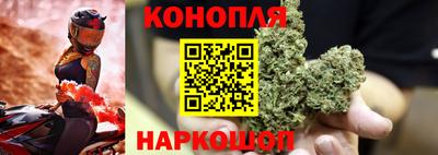 МДПВ Гатчина